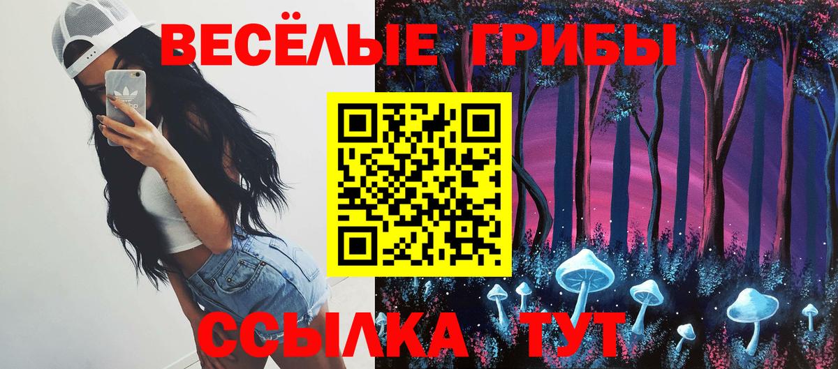 Псилоцибиновые грибы MAGIC MUSHROOMS Каменка